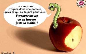 Tir à la pomme Nauroy