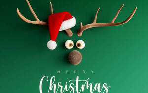 Tirs de Noël handis