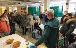 Animation lycéens Allemands et Français