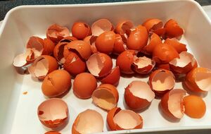 juste quelques œufs pour une giga omelette.
