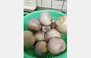 les oignons rosés de Roscoff, cueillis par Carmen et Christian pendant leurs vacances