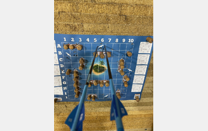 la mouette a eu chaud aux plumes