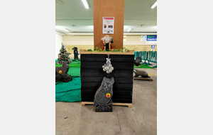 il est chouette notre hibou