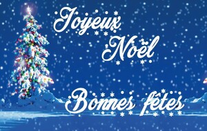 69465534d8e95_joyeuxnoel.jpg