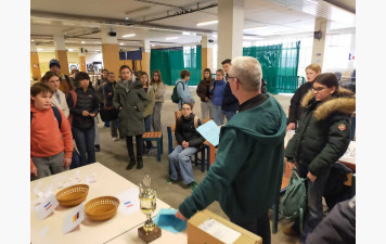 Animation lycéens Allemands et Français