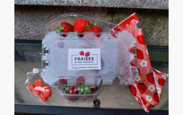 Tir à la fraise à Haramont