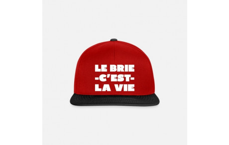 Brie à Vaumoise
