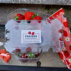 Tir à la fraise à Haramont